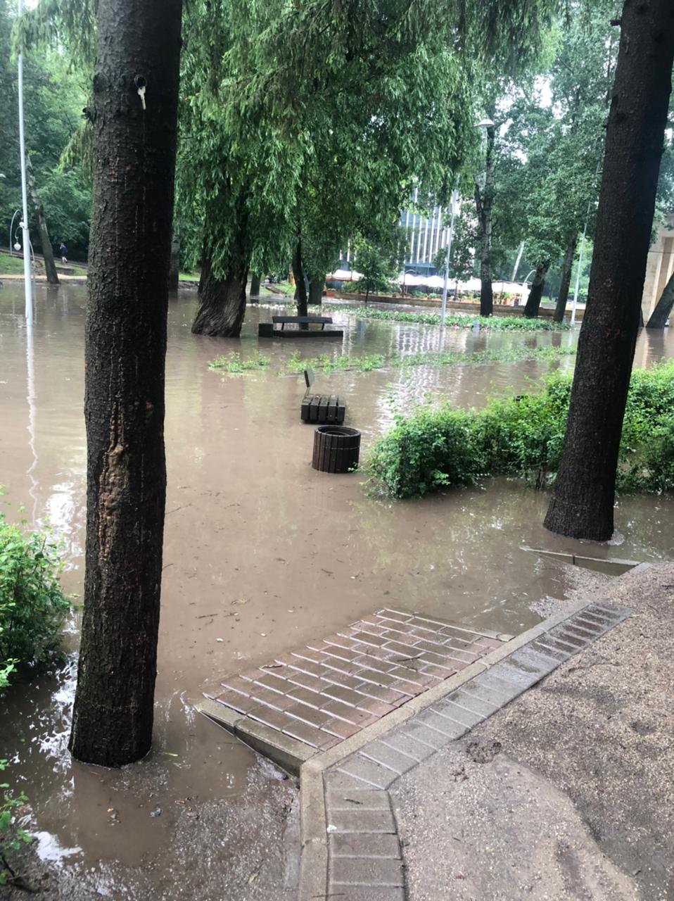 Затопленный Центральный парк.