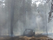 Сгоревший автомобиль в Борисоглебском городском округе.