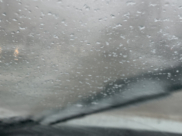 Пройдут дожди.
