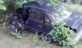 Daewoo Nexia. въехала в дерево.