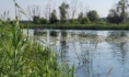 Река.