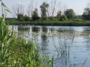 Река.