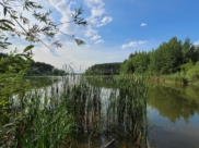 Воронеж.