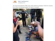 На женщину напали собаки.