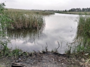 Воронежец утонул в пруду.