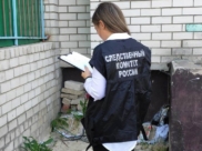 Дело расследовал СК.