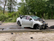 KIA K5 протаранила дерево.