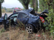 Автомобилистка врезалась в дерево.