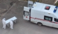 Заболеваемость и смертность от коронавируса бьет рекорды.