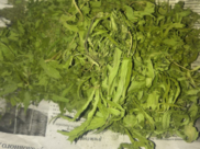 Марихуану изъяли.
