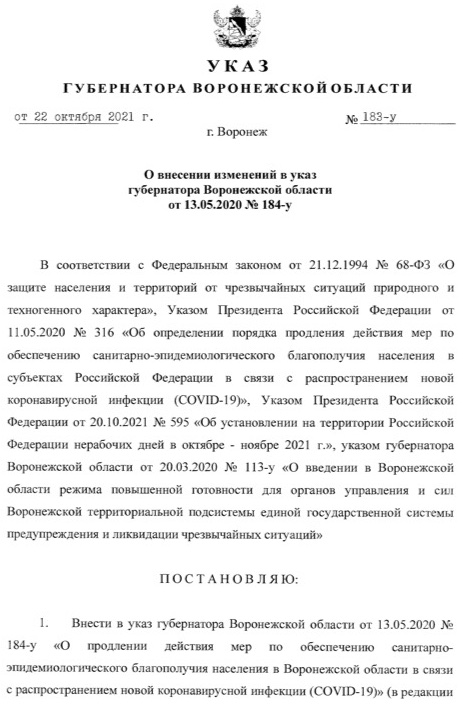 Локдаун в Воронеже и области с 25 октября до 7 ноября 2021 года: кто может работать, а кому запрещено