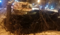 Skoda Octavia врезалась в дерево.
