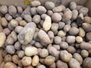 Продукты.