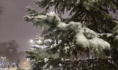Воронеж.