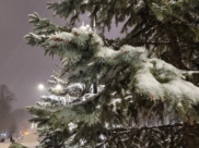 Воронеж.