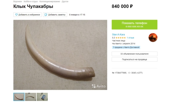 Воронежец продает клык чупакабры.