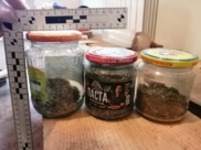 Банки с наркотиками.
