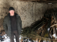 У воронежца в сарае нашли коноплю.