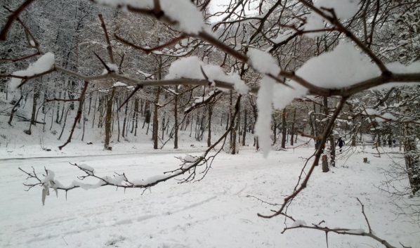 Воронежцев предупреждают о снегопаде с метелью.