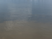 Вода.
