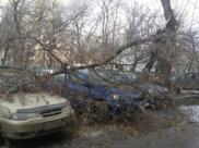 В регионе ожидают сильный ветер.