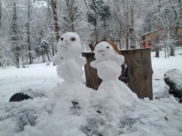 Зима в Воронеже.