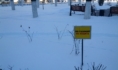 Воронеж.