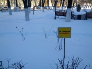 Воронеж.
