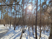 Весна в Воронеже.