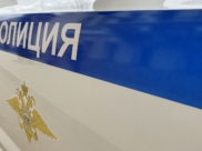Подозреваемую задержали полицейские.