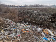 Вот такая свалка в Острогожске.