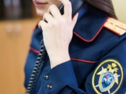 СК откроет горячую линию.