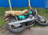 Мотоцикл после аварии.