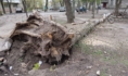 Спасатели предупреждают о сильном ветре.