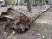 Спасатели предупреждают о сильном ветре.