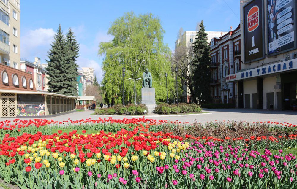 Тюльпаны в Воронеже.
