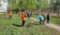 Работники вышли на субботники.