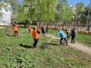 Работники вышли на субботники.