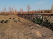 Та самая башня после пожара.