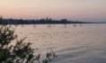 Воронеж.