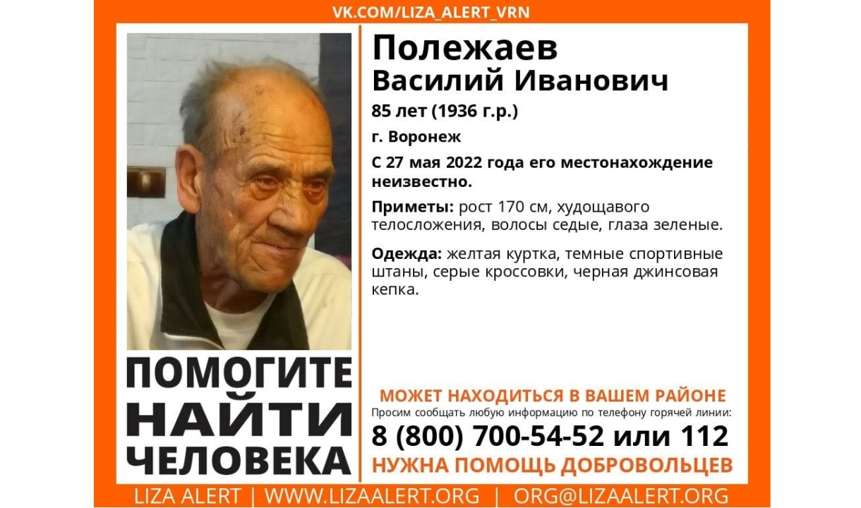 В Воронеже объявили поиски 85-летнего пенсионера, пропавшего неделю назад