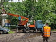 УК спиливает деревья.
