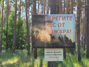 В Воронеже.