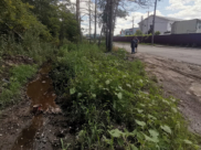 Отходы сливают в нагорную дубраву.
