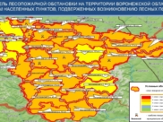 Модель лесопожарной обстановки.