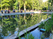 Жара в Воронеже.