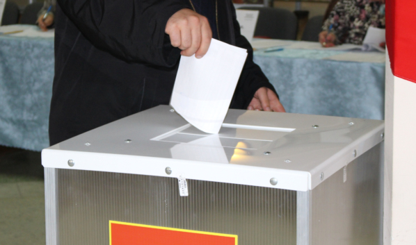 Довыборы состоялись в Воронежской области.