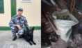 Служебная собака помогли найти наркотики.