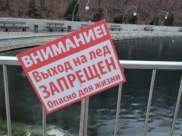 Заморозки придут в Воронеж.