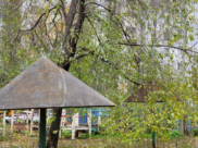 Осень в Воронеже.